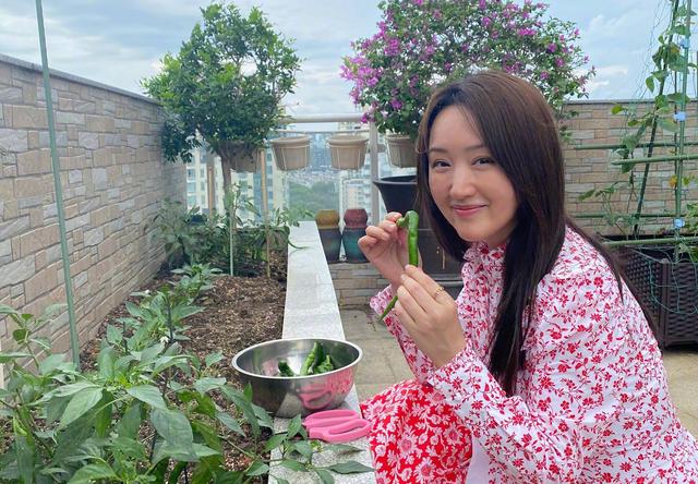 张颂文|52岁杨钰莹怀孕了?穿紧身长裙,肚子又圆又鼓,前男友已结婚生子