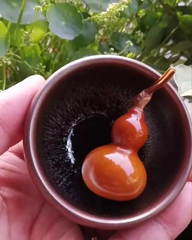 沉香木|这些能出玻璃底的玩物,你有几件?