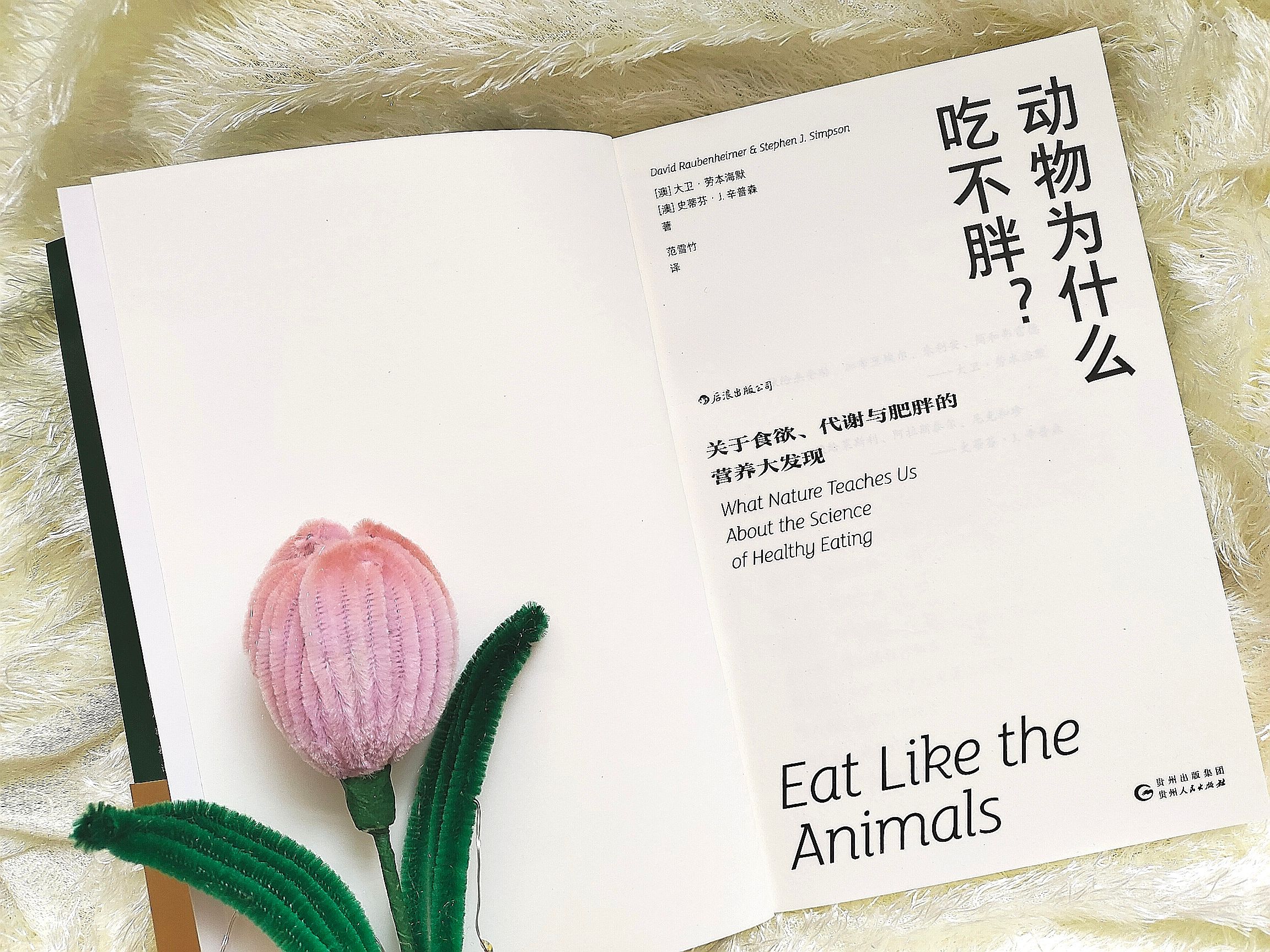 厌食症|《动物为什么吃不胖?》而人那么容易胖?原来是因为这个杠杆原理