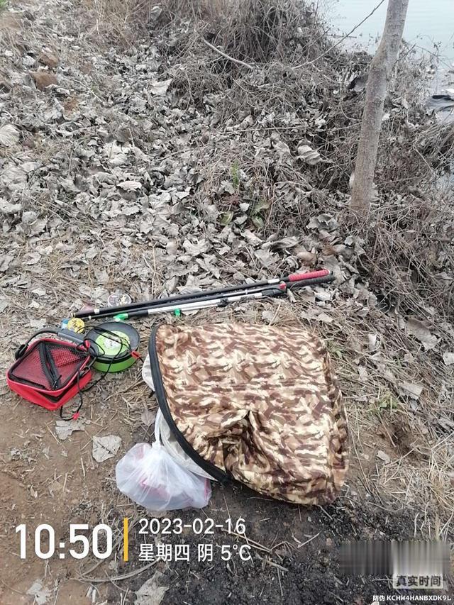 |舍远求近，连上两条大板鲫