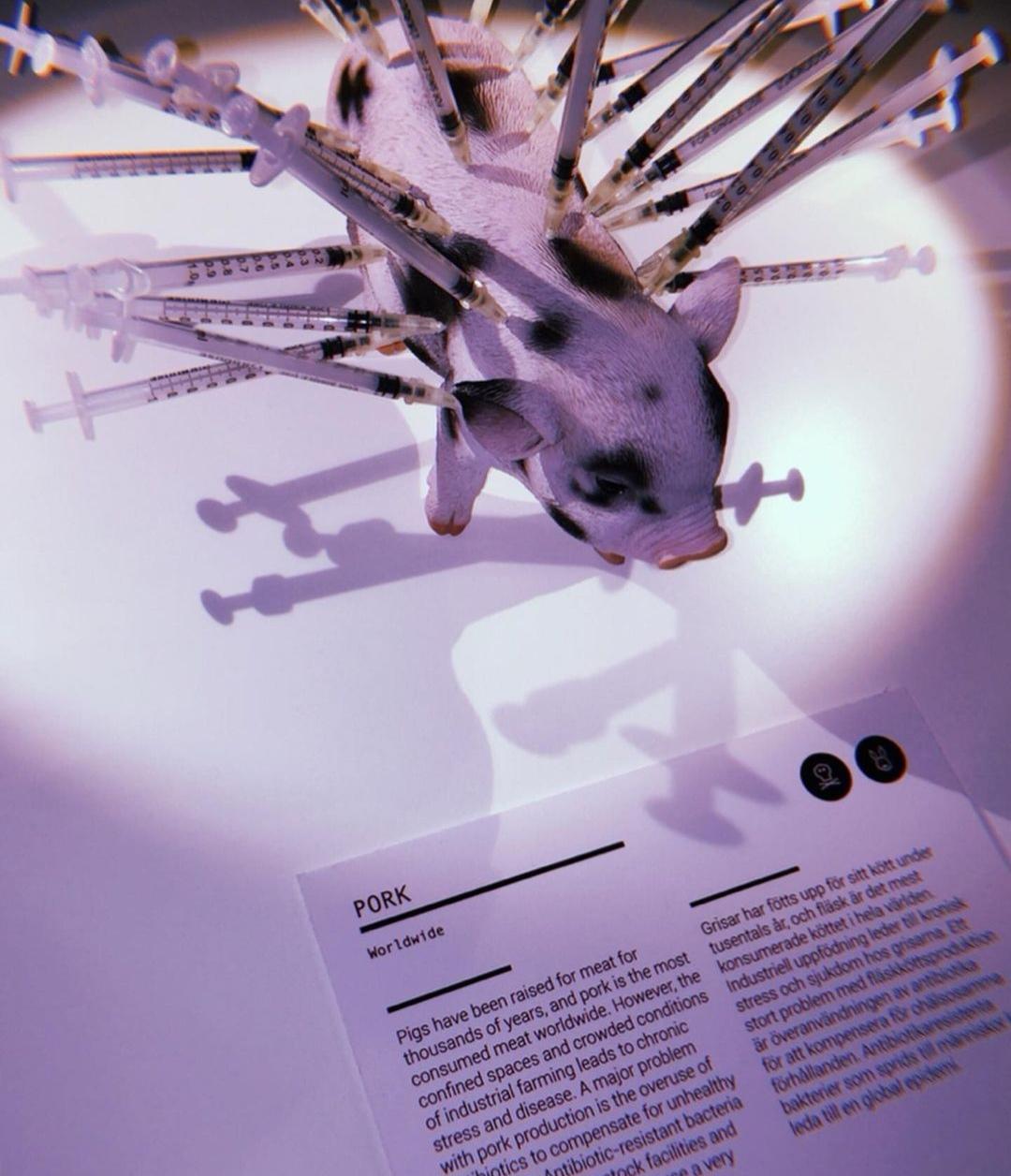 昆虫|瑞典的“恶心食物博物馆”展品有80种,中国的好几款食物也被展出