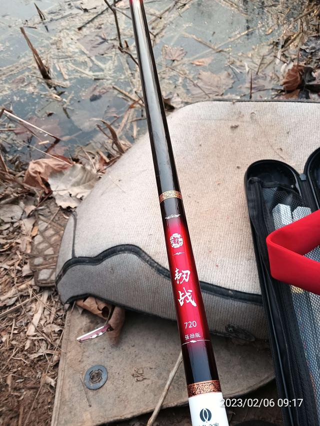 |近水楼台隔夜窝,一尾黄桑一尾鲫