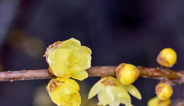 老人的告诫:做人,不要在三件事上卑微,不然会被人瞧不起,懂了