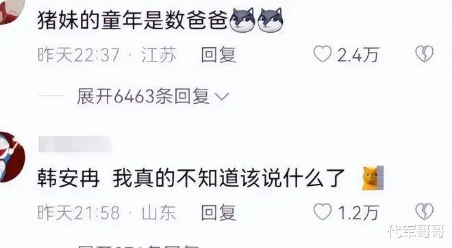 韩安冉|24岁韩安冉官宣四婚,整容33次,自曝婚礼被狂抽22个耳光