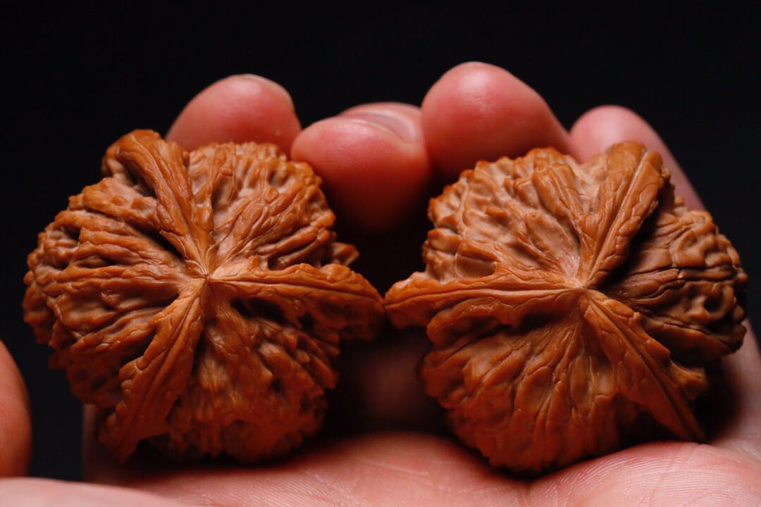 文玩核桃晃仁到底是好，还是坏？