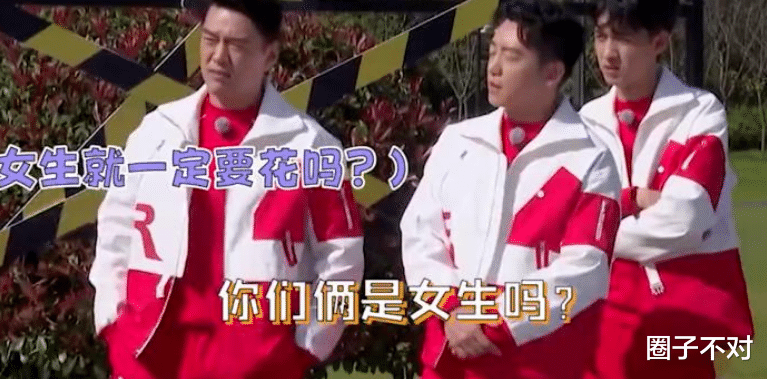 这一次,29岁的白鹿,不再被观众宽容