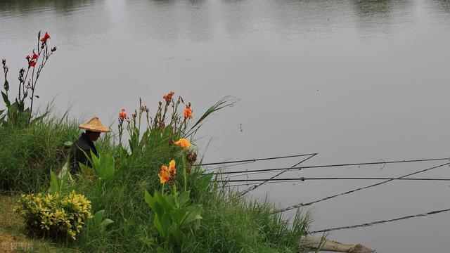 钓鱼技巧|夏季涨水好钓鱼吗?放弃这些钓鱼误区,找对时机钓位才会鱼获多多
