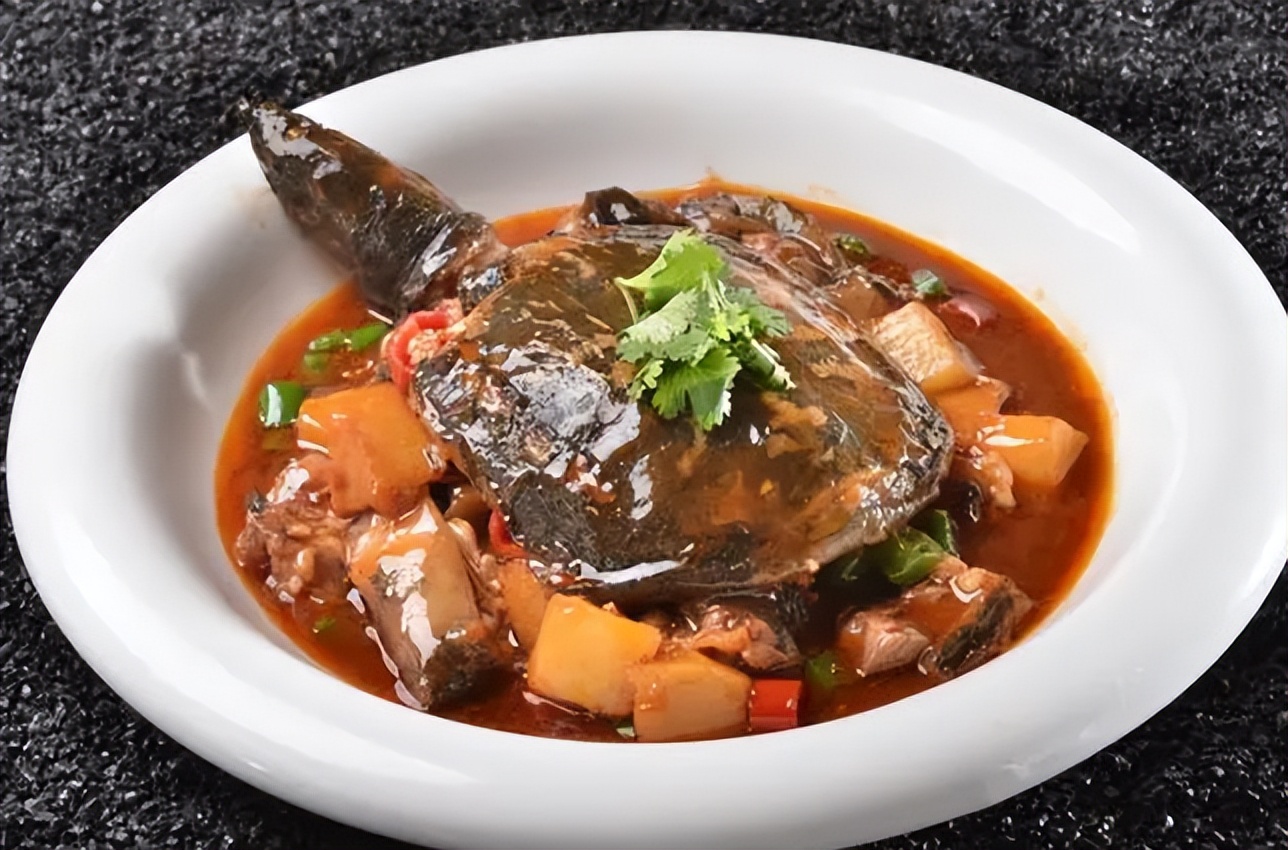 甲鱼|女大学生湖边捞到2斤重大甲鱼, 路过钓鱼佬称可帮领养, 竟信以为真