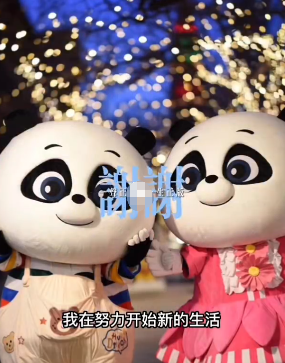 郑爽|郑爽抚养权官司庭审结束,本人首次发声,自称开始新生活