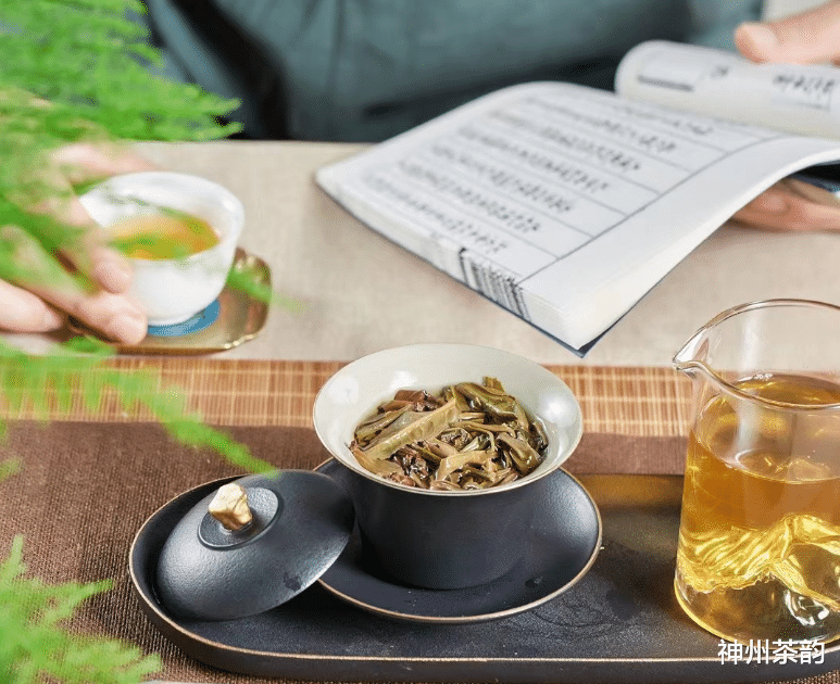 |为什么秋天要多喝茶？适合喝哪些茶？