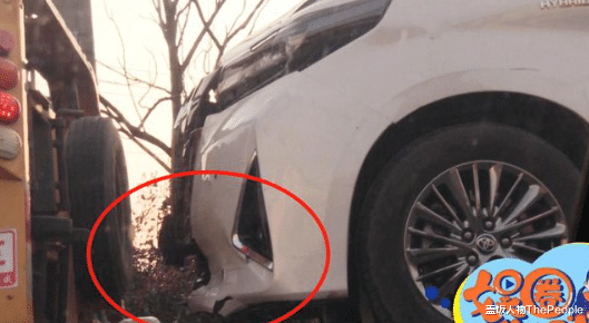 二胎|2天9个瓜!五婚被绿、再婚生二胎、再曝不雅照、浮潜溺水身亡…