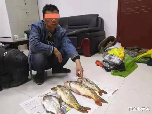 钓鱼|啥年代了还有人毒鱼？四川两男子往河里倒憋虾灵，辩称是为了钓鱼