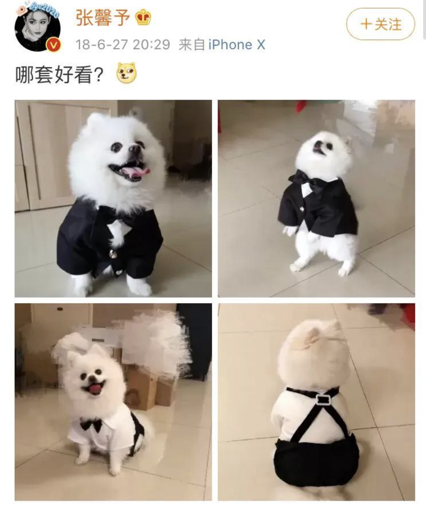 张馨予|“靠嫁人翻身”的张馨予:她老公何捷,确实很牛!