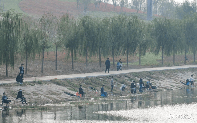 |为何「钓鱼的乐趣只有钓鱼人懂」？姜太公：原来钓鱼才是运动顶流