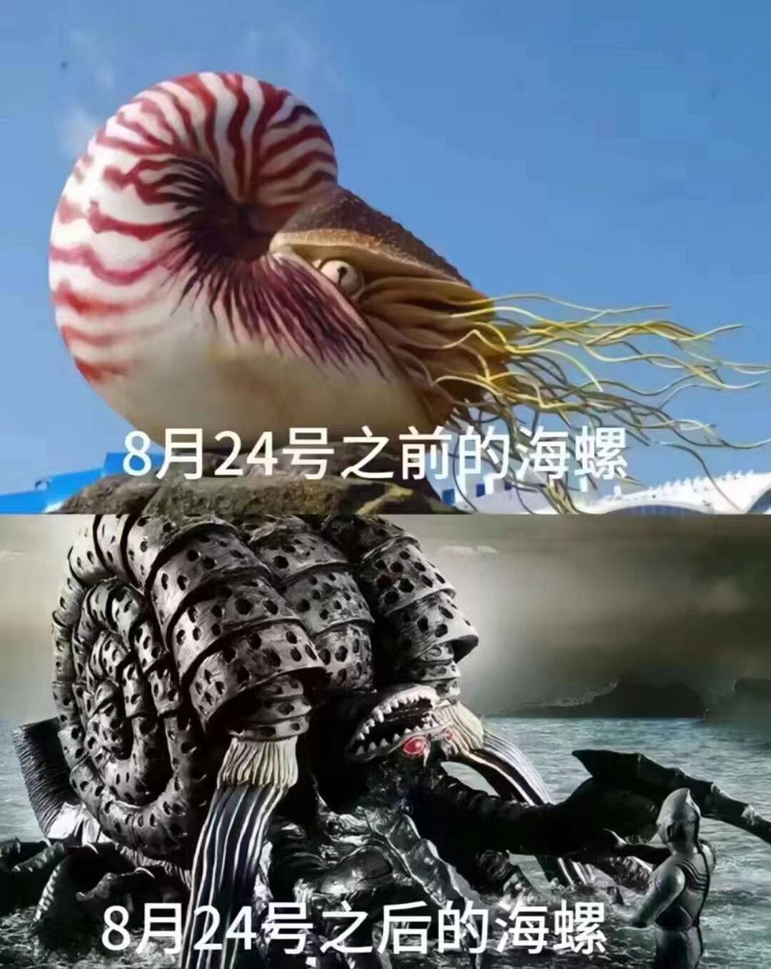 核污染|被核污水感染过的海鲜还能吃吗？