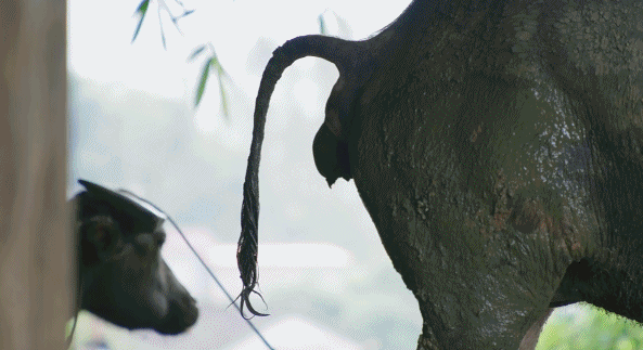 Bilibili|B站9.3分！这么恶心的国产片，看完我怀疑人生！