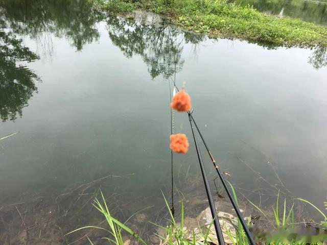 夏季用腥饵有罪吗？钓鱼开饵，从来都是“不看广告看疗效”