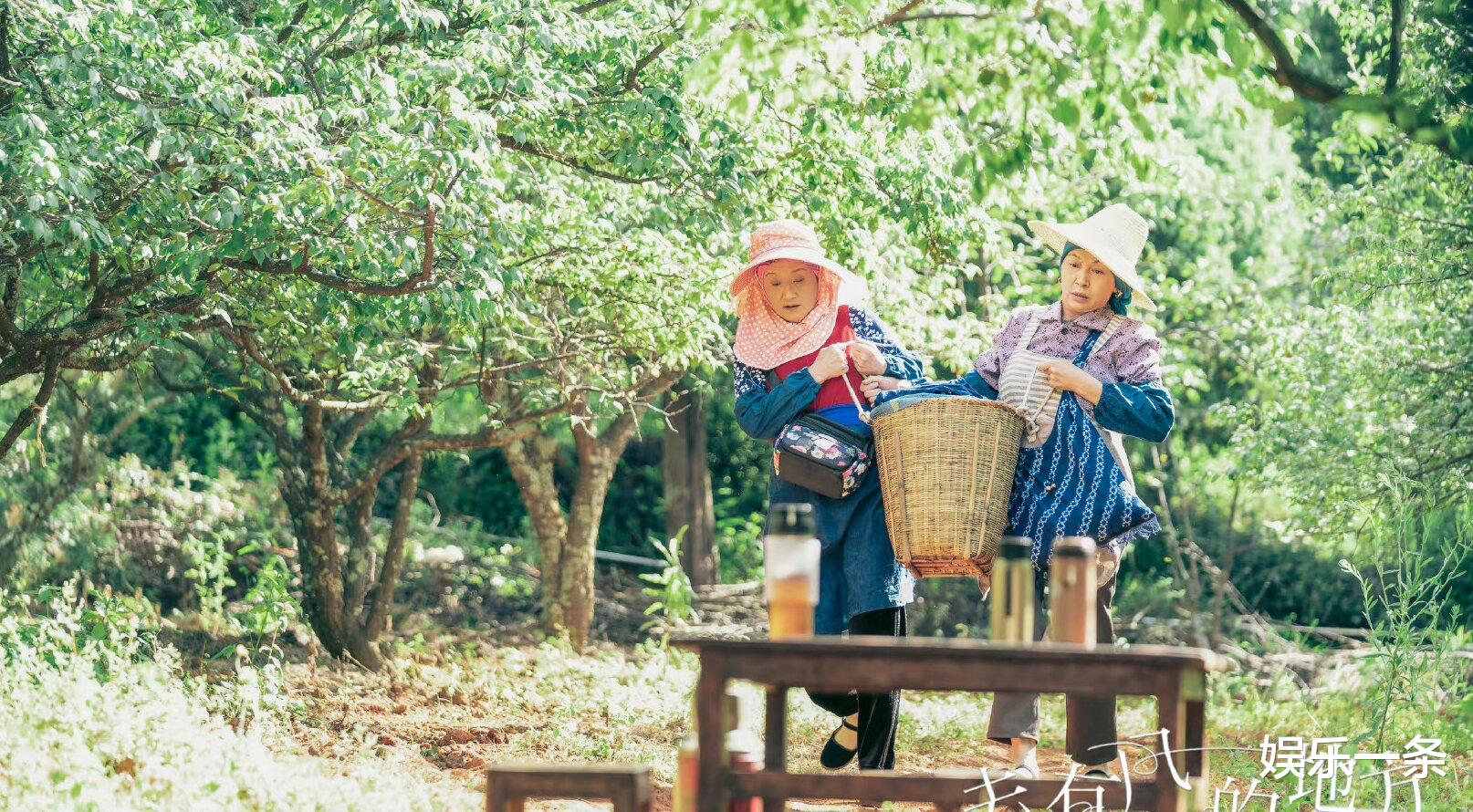 许红豆|许红豆在“有风小院”把自己给治愈的同时也治愈了无数人