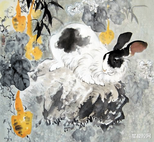生肖|今年夏天不失业的4生肖，求职顺利，薪水不低，日子不难