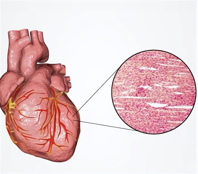 55岁男子高血压，最终去世，医生：吃倍他乐克2件事不要做