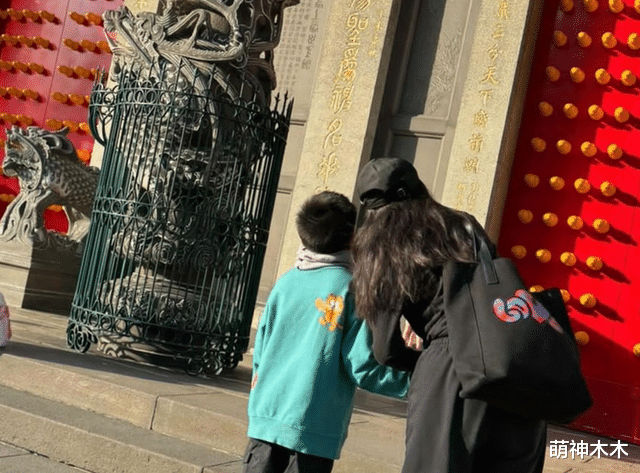 48岁徐若瑄被曝离婚!结束与富豪老公九年婚姻,重回日本发展事业