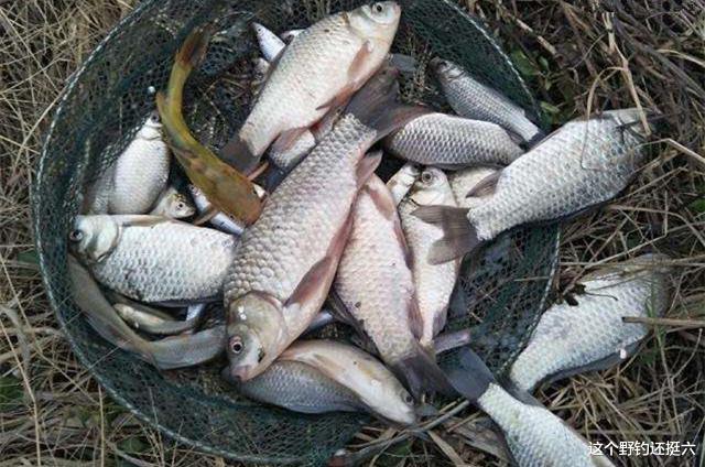 |钓点找不对黄金钓位也白搭！你对钓位了解吗？钓点直接和鱼获挂钩