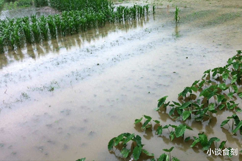 物价|2024年或比今年更难熬,普通百姓将面临4个难题,建议早看早准备