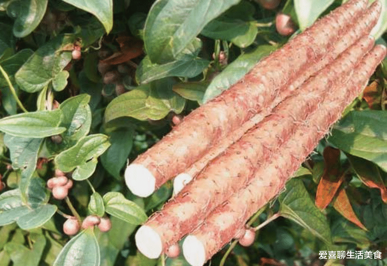 |山药上市了,怎么做好吃呢?这种做法男女老少都喜欢,总也吃不够