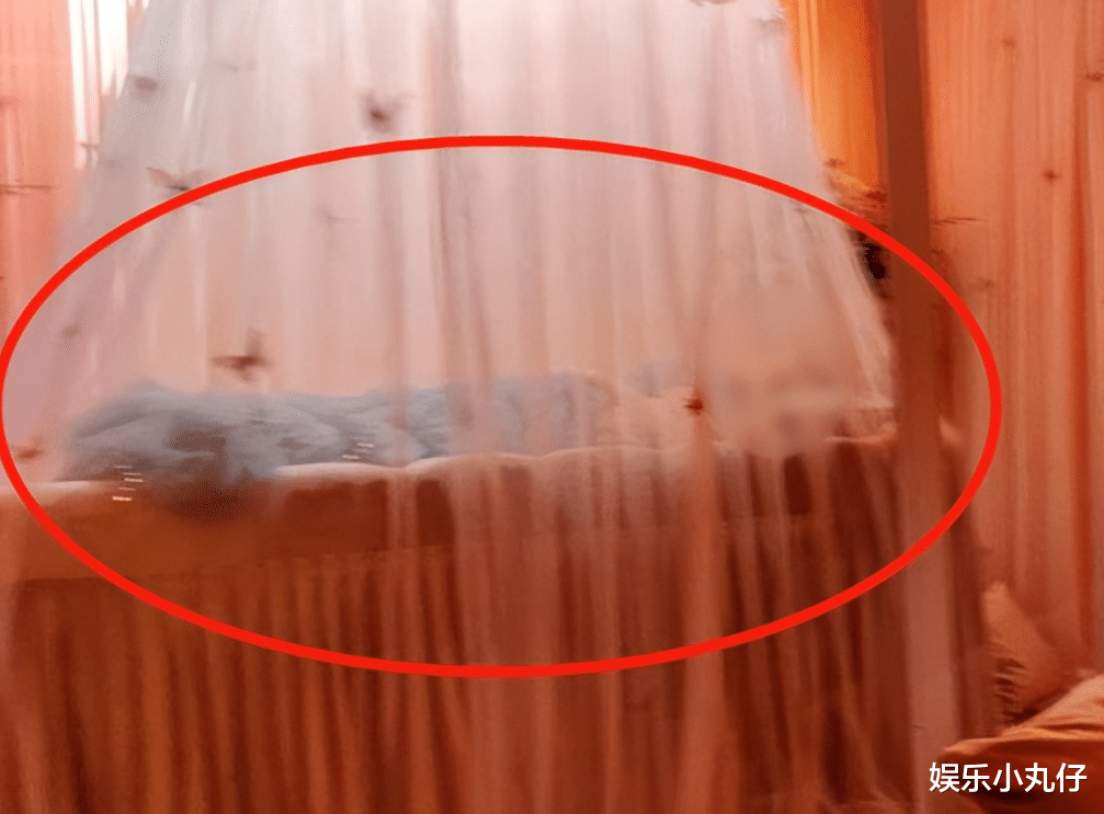 蔡天凤遗容修复完好,脸色红润如睡公主,方媛素颜送别哭泣4小时