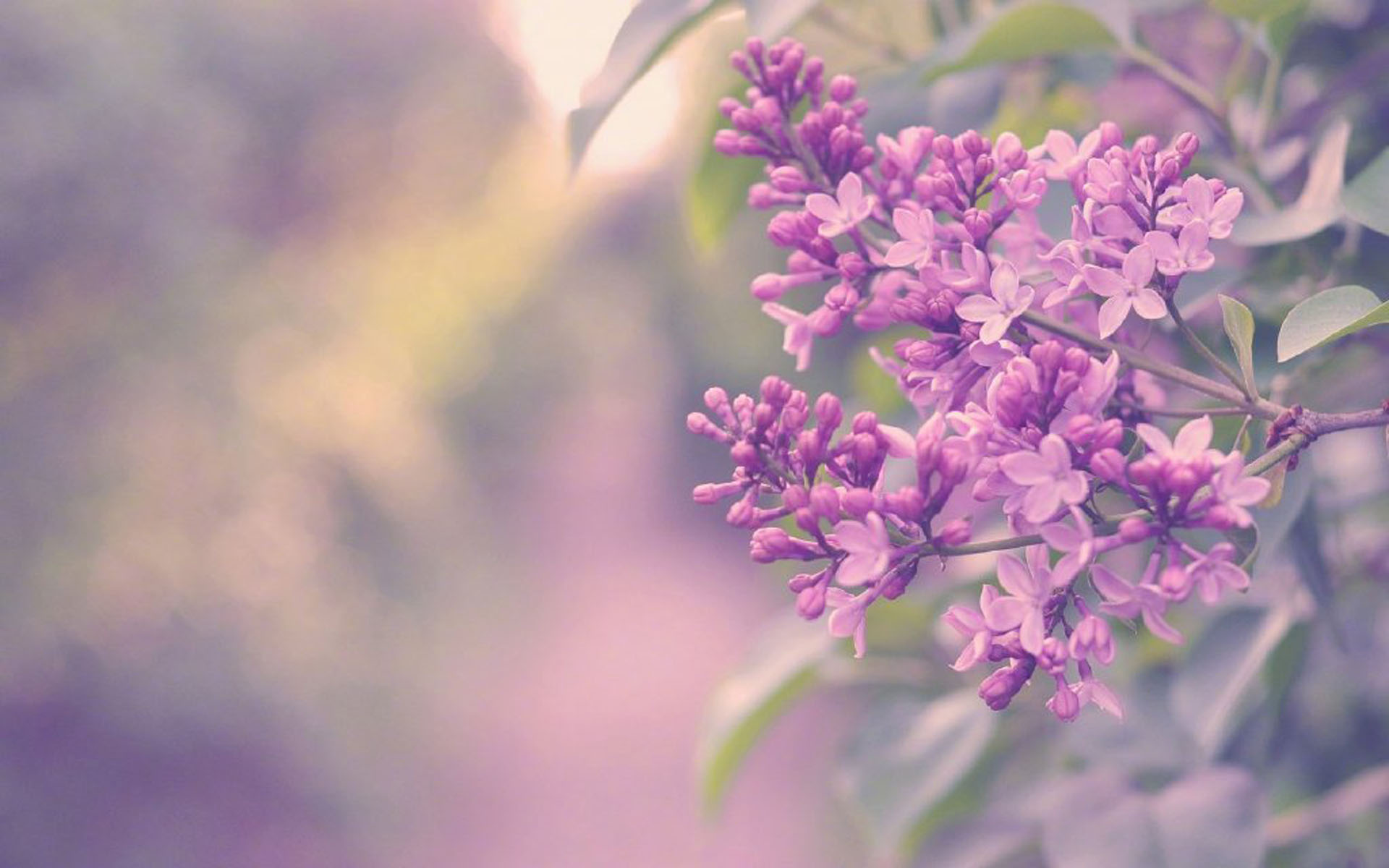 生肖|7月上旬,3大生肖顺利走上坡,桃花进门,财喜汇聚,天天好心情