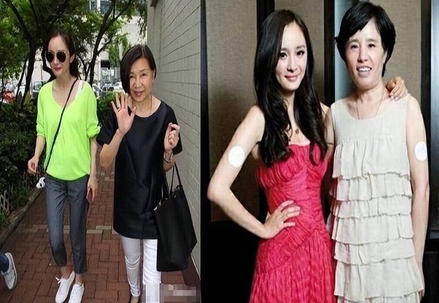 杨幂|让妈妈出面继续和经纪人开公司?占股60%,杨幂这次学聪明了