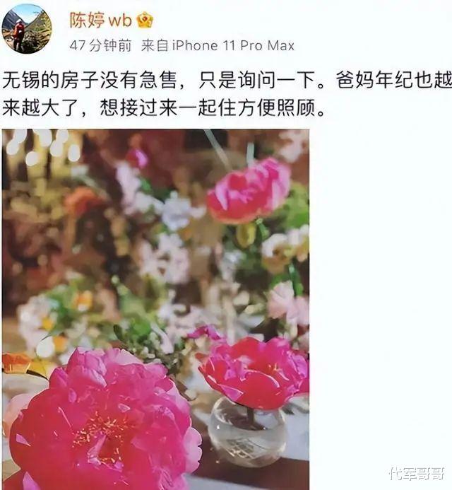 揭秘73岁张艺谋与小30岁陈婷被传离婚真实内幕