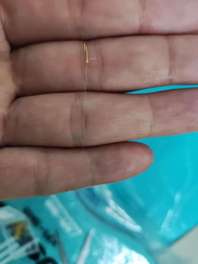 夜钓|细小鱼钩手工绑制技巧!