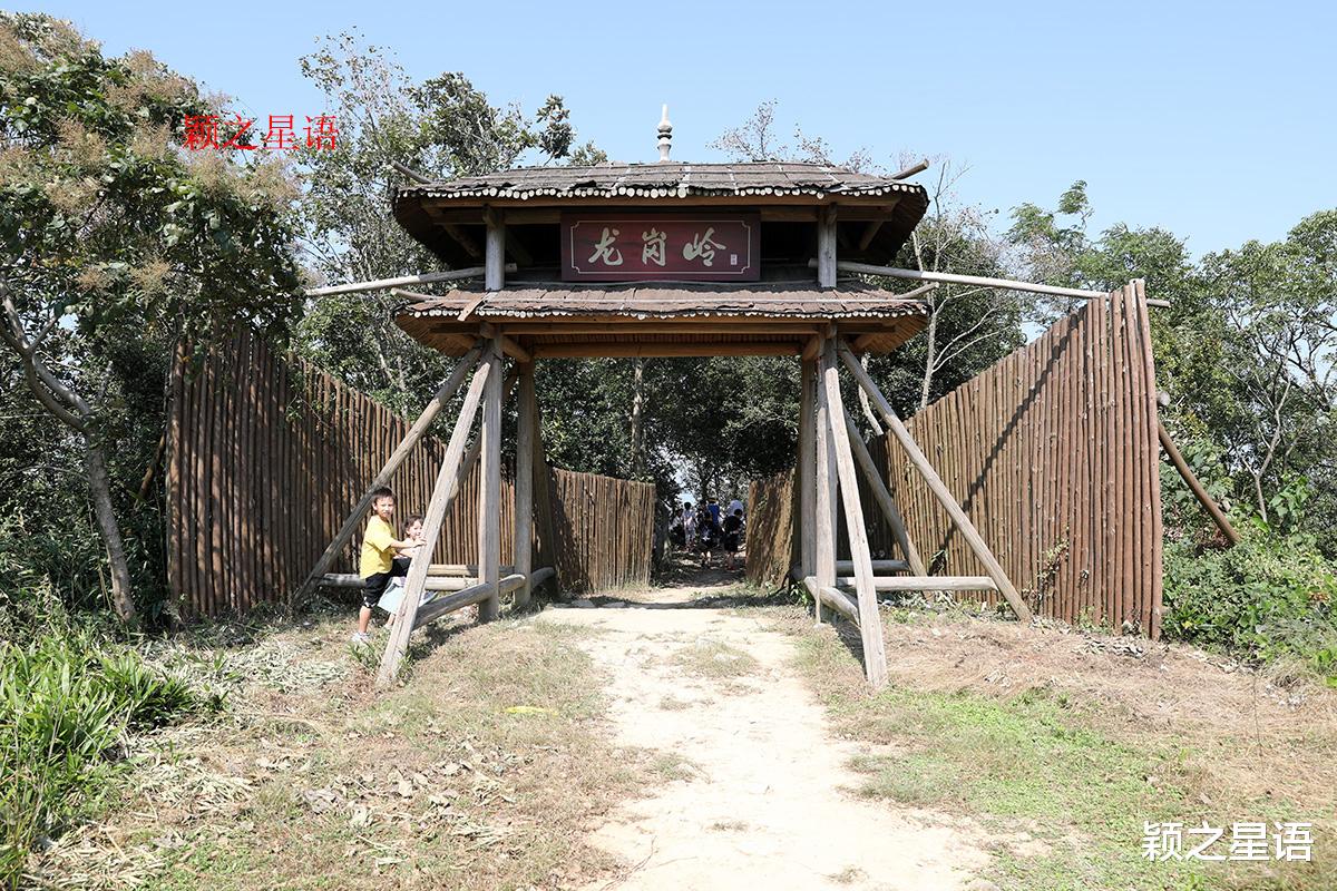 宁波|龙鹫登山步道,适合为了健身而走路