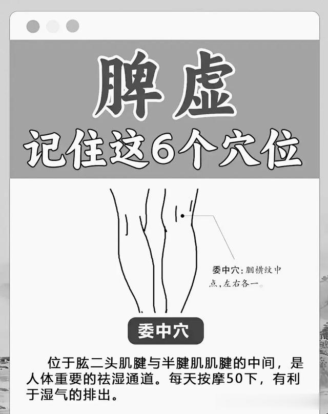 记住这6个穴位，可有效调理脾虚问题！
