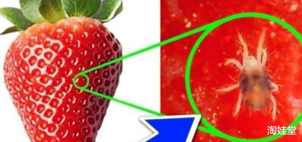 5000条虫子啃空娃脑肺!不要再喂娃吃了,多数宝妈不注意