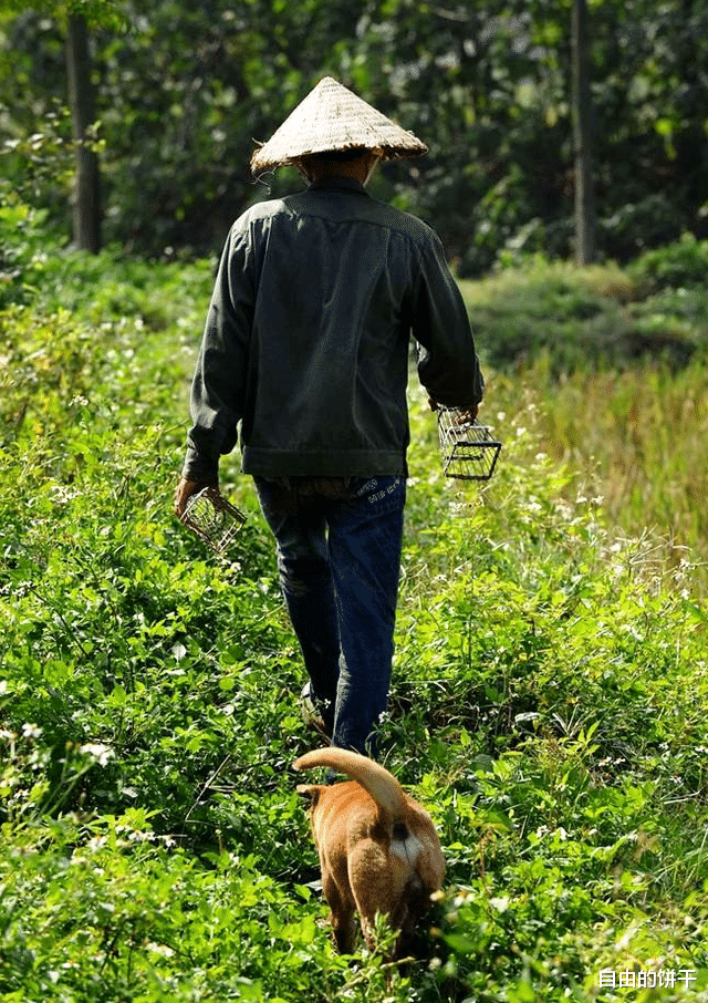 |精品鼠肉:越南、柬埔寨偏远地区深受人们喜爱的美食居然是老鼠