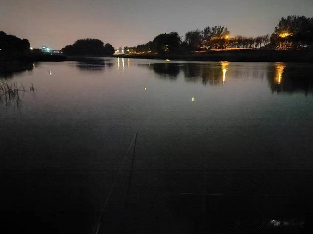 鲫鱼|钓鱼日记——2023年4月21日(碧水庄园夜钓)