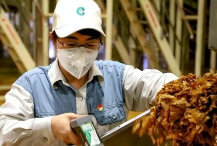 “CPU烧了”，一家20多口人在烟草工作叫传承？国家出手安抚人心