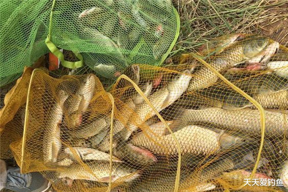 |夏季钓鱼,刮这2种风向时,爆护时机来了