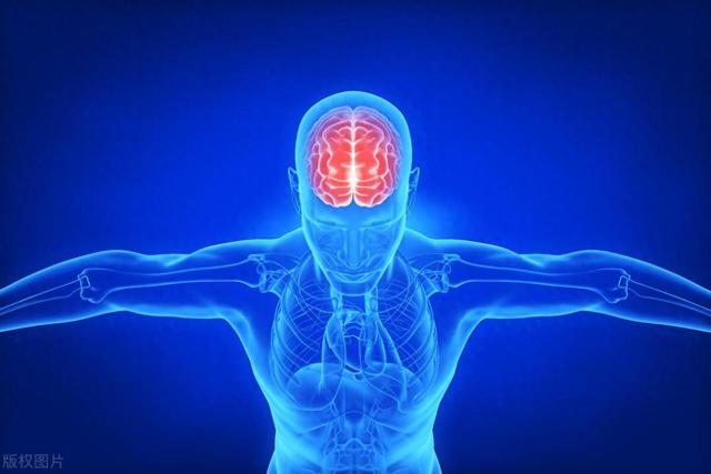 吃鱼降低痴呆风险、防卒中?医生建议:这三种鱼尤其适合中老年人