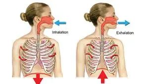 运动表现的呼吸肌力训练