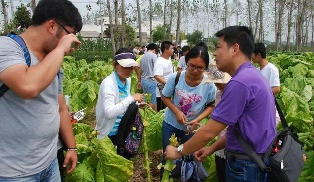 国企|中国烟草广招人才,月薪超9000且无需笔试,面试通过就能被录用