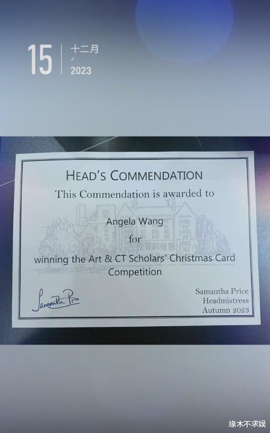 王诗龄穿6200元T恤别墅内画画，圣诞画作被学校选中，作品引争议