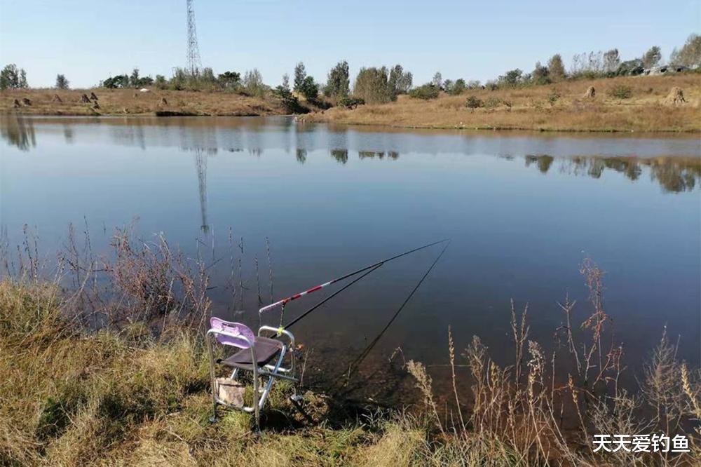 寒冬鲫鱼藏得深，找这4种深水窝点，大鲫鱼一钓一个准
