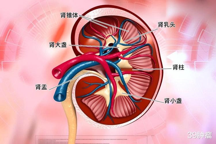 男人这4个行为，会“伤害”到前列腺，头一个很多人都在做