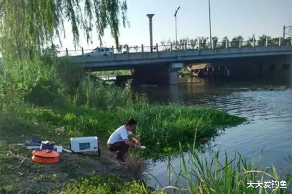 三伏天如何钓鱼?记住4个要点,天热难不倒你