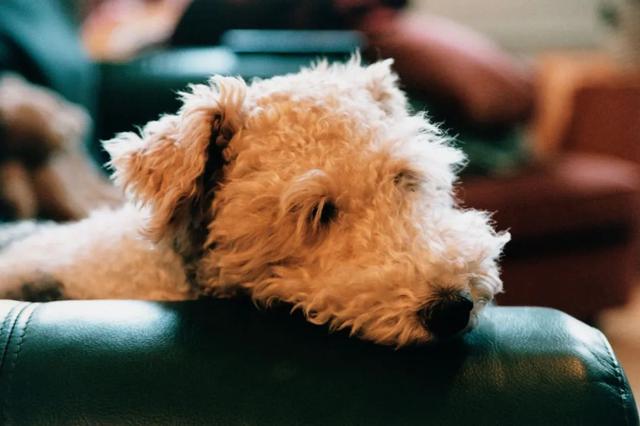 啃老|文科生，求职市场最尴尬的存在