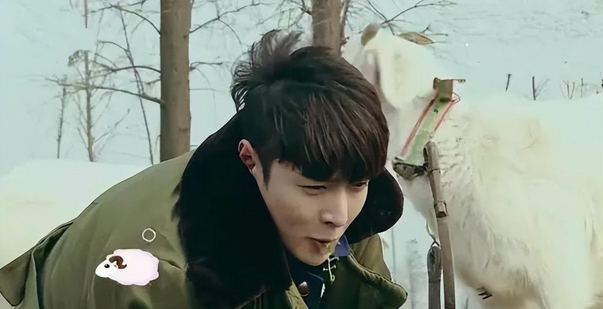 张艺兴|娱乐圈拜高踩低,在张艺兴身上体现的淋漓尽致