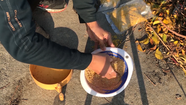 野钓鲤鱼多久起一次竿?多年经验无保留分享,新手学会很重要